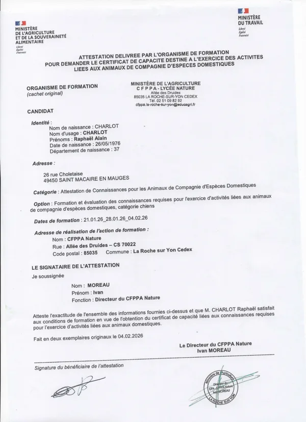 Certificat ACACED